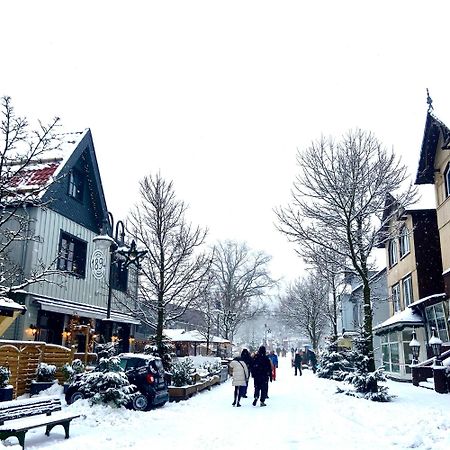 Harz Is Calling Goslar Esterno foto