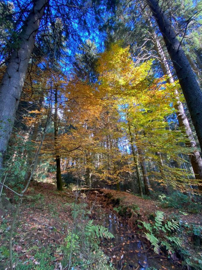 Harz Is Calling Goslar Esterno foto